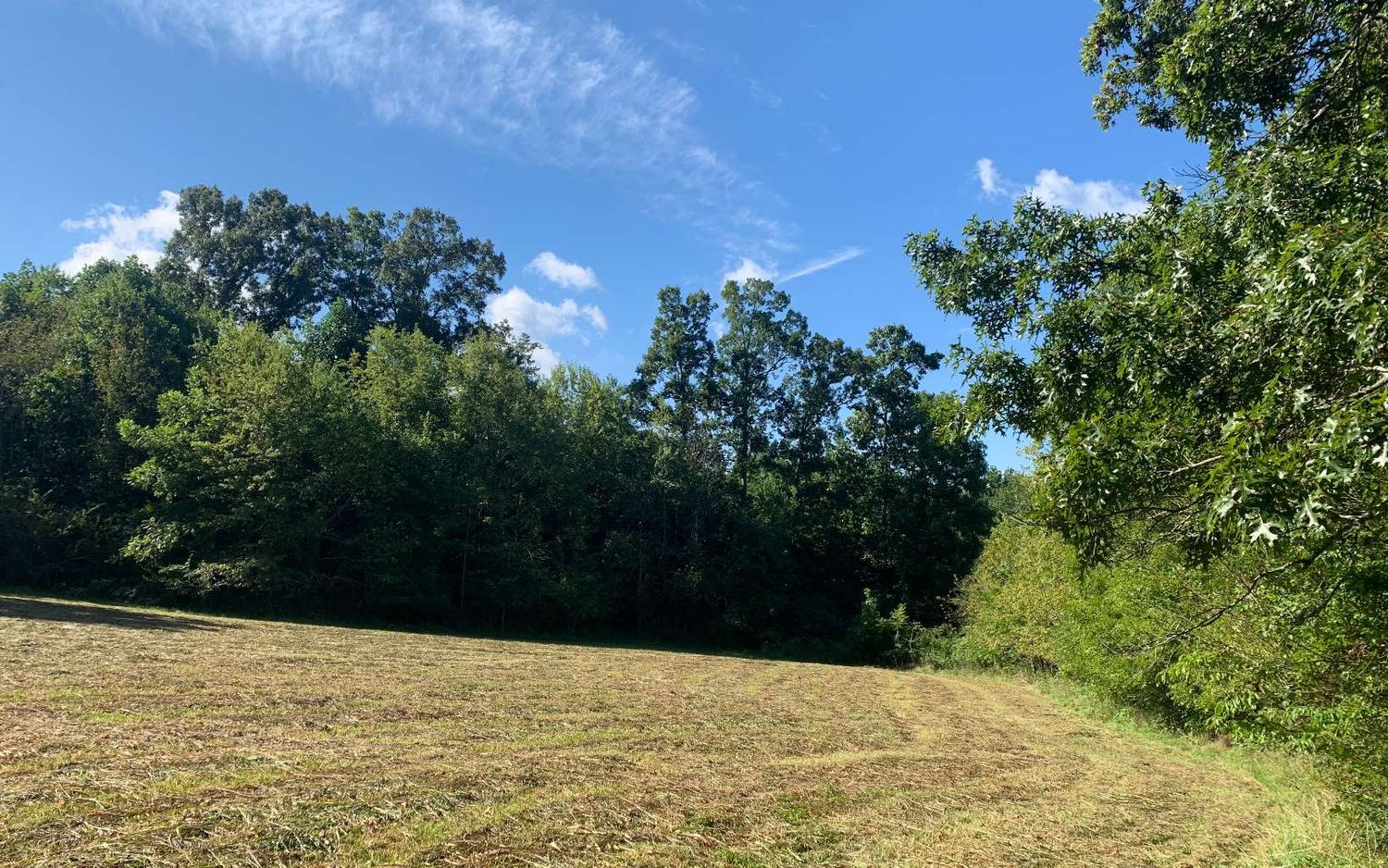 69 Hwy 64 W, Hayesville, NC 28904